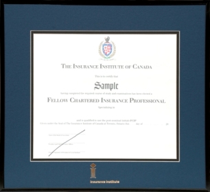 Satin black metal frame for FCIP certificate